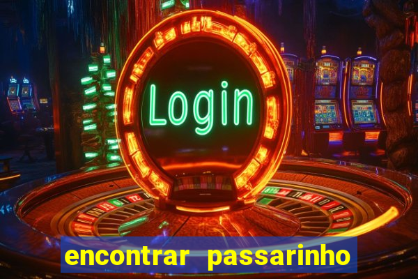 encontrar passarinho morto significado